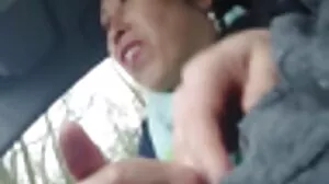 Karla Wiggles کے تحت ان کی بڑی مرگا