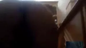 Savoring چاکلیٹ آدمی اور اس کے بڑے ڈک