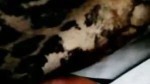 BangBros: کالی ایک کامل گدی پر PornHD