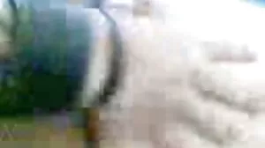 سخت جسم Trad