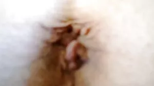 Leche69