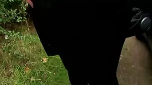 خوبصورتی سے محبت کرتا ہے معدنیات سے متعلق ایجنٹ کی ڈک تک یہ فٹ پر اس