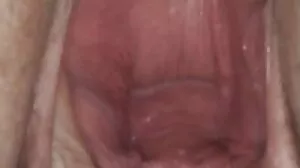 دو خوبصورت sluts کے ، تاشا اچھا اور W