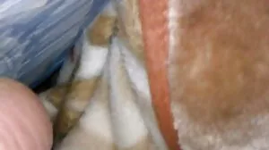 روسی انسٹی ٹیوٹ کے: باورچی خانے میں مقعد جنسی پر PornHD