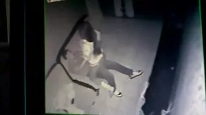 بلبلا بٹ بروک بینز بڑے سیاہ ڈک سوار