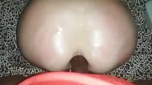 مشکل کی Chupacabra کے قابل ہے ایک شاٹ کے لئے Stepsis