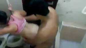 سرخ لومڑی